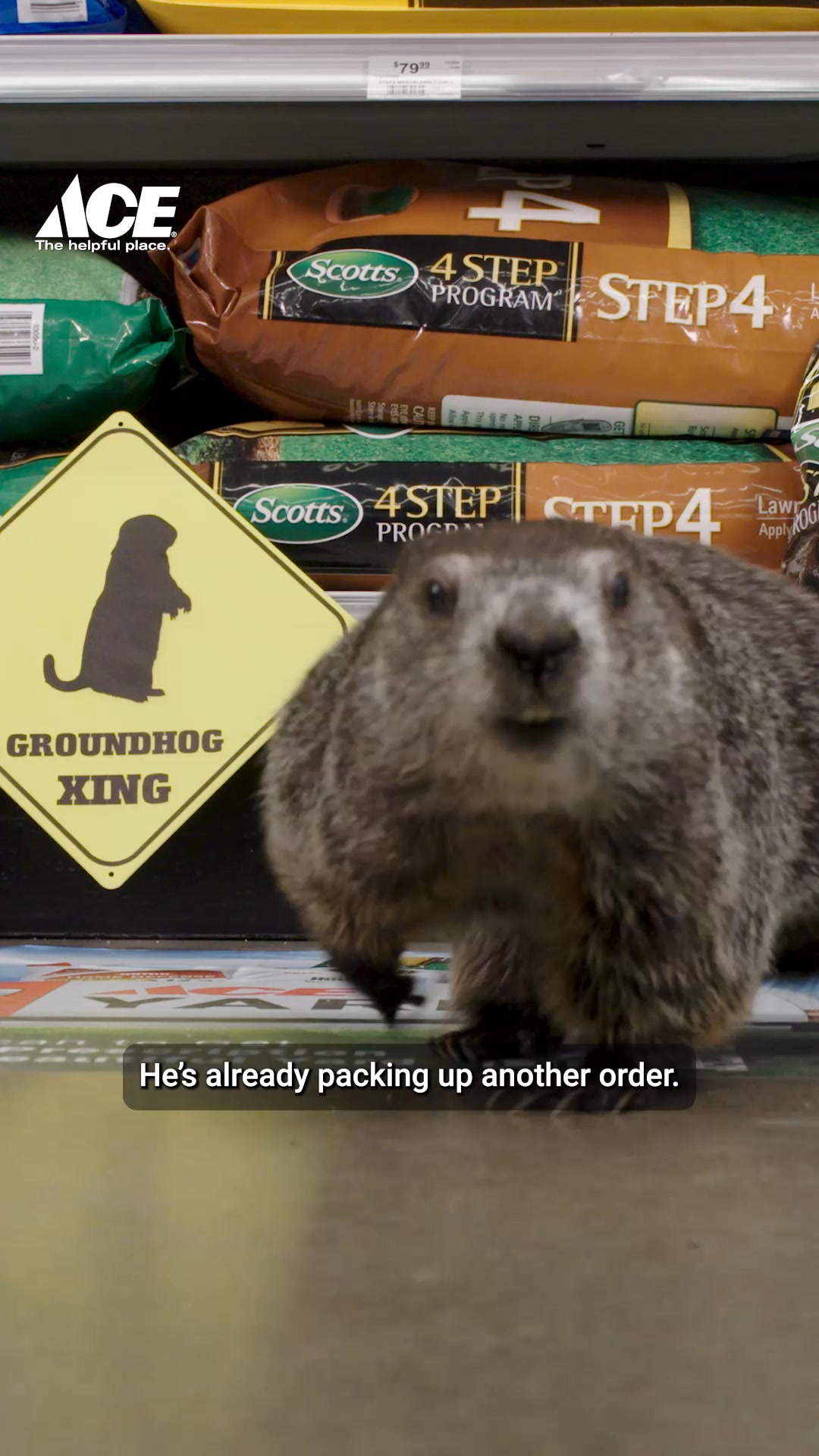 Feed Image
