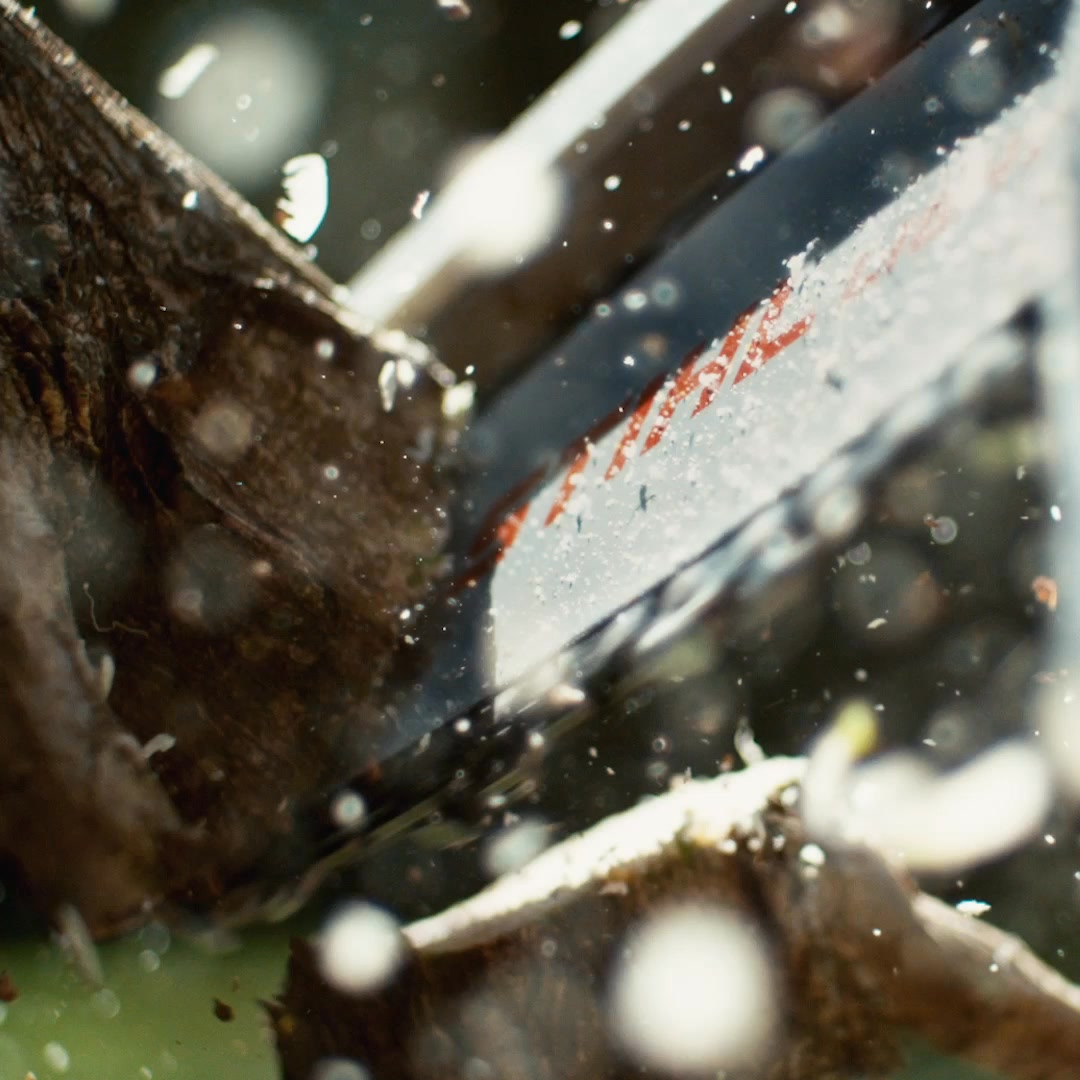 Feed Image