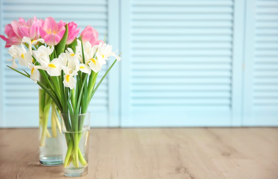 Feed Image