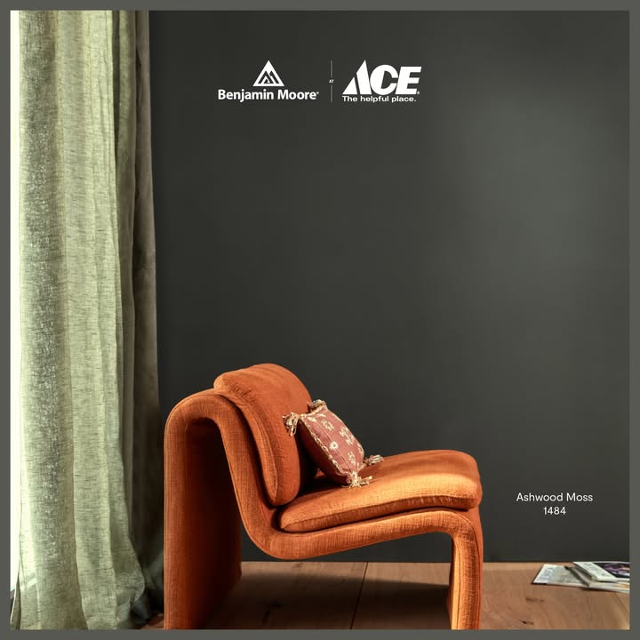Feed Image